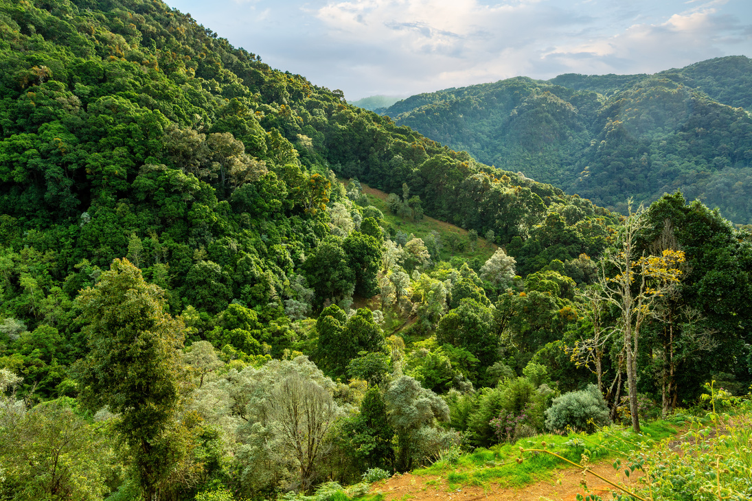 Landscape in San Gerardo de Dota, Costa Rica.